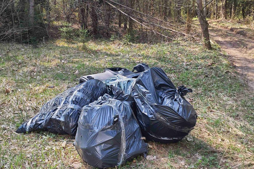 Šiukšlės Miške