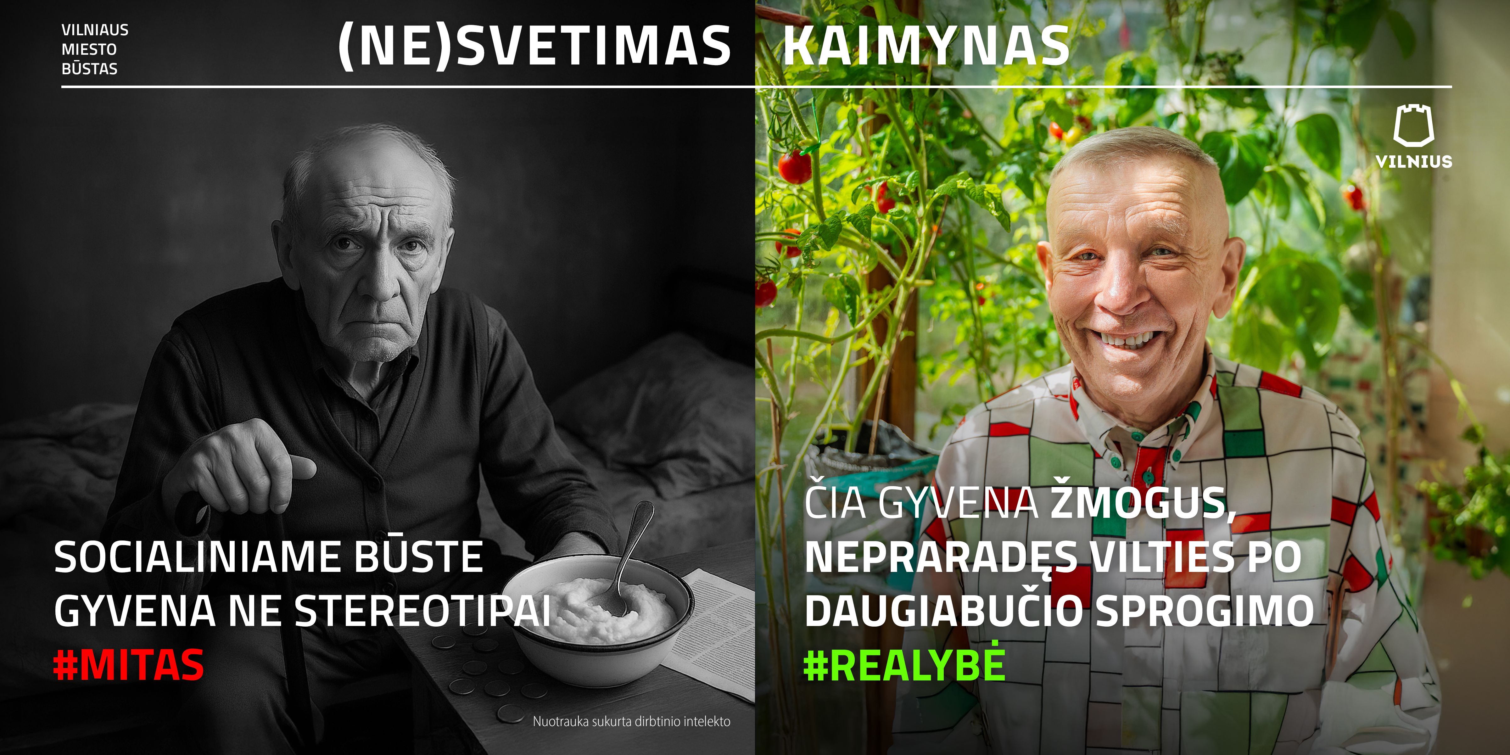 Vilniaus Miesto Bustas 2