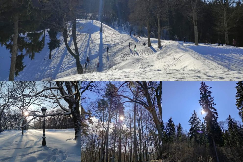 Daug Saulės