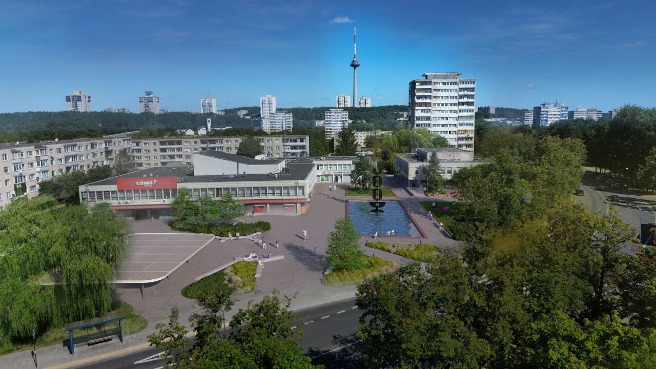 Viz 1 2025 08 19