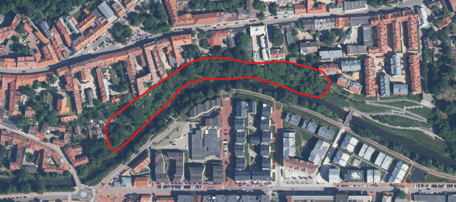 Želdinių Tvarkymo Zona