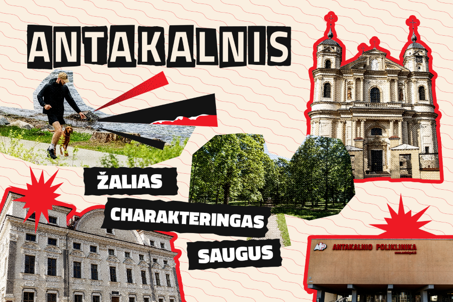 Tapatybės Tyrimas Antakalnis