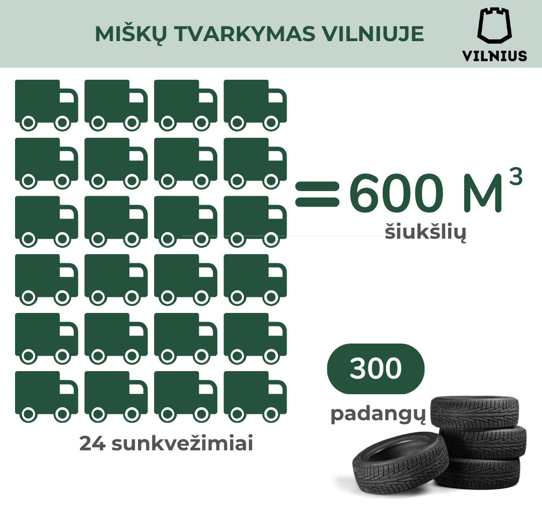 Miškų Tvarkymas Vilniuje (1080 X 1080 Piks.) (4)